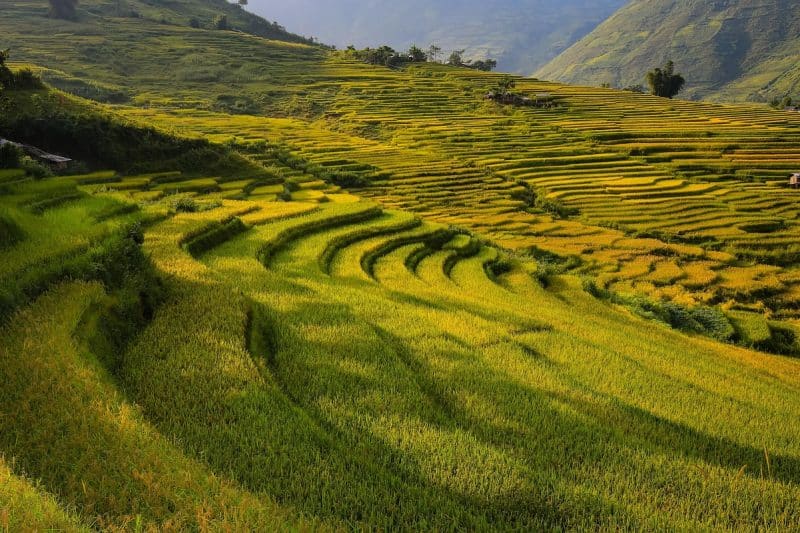 Group trip Vietnam
