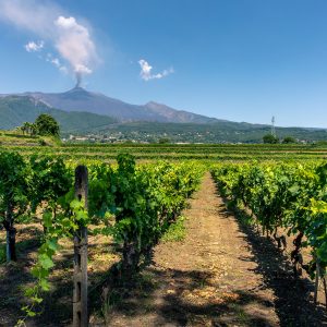 TOUR ENOGASTRONOMICO ETNA Vini vulcanici, paesaggi lunari e sapori d’eccellenza