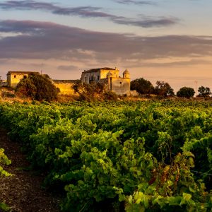 MARSALA FOOD & WINE SELF-DRIVE Tra cantine storiche, isole fenicie e tramonti sulle saline