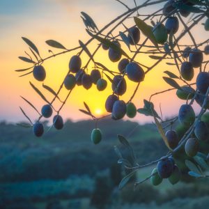 Alternative view of TOUR ENOGASTRONOMICO PER DUE Sicilia Sud-Orientale tra vino, charme e tradizione