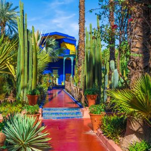 Alternative view of Marrakech I Love You – Tour 6 Giorni tra Medina, Deserto di Agafay ed Essaouira