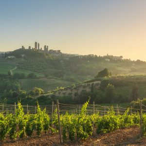 Alternative view of Degustazione Vino e Formaggi a San Gimignano – Wine & Cheese Experience Toscana