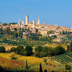 Degustazione Olio d’Oliva in Toscana con Tour in Jeep – Experience Premium