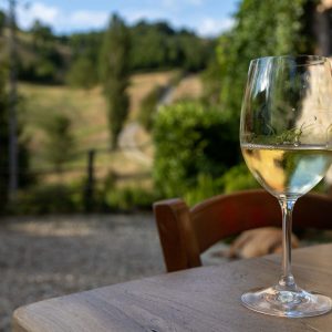 Degustazione Vini Bianchi a San Gimignano – Wine Experience in Toscana