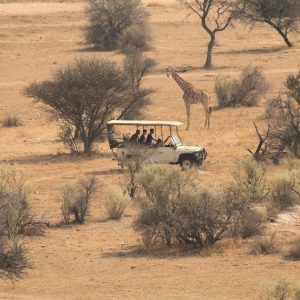 Safari ed estensione mare in Tanzania